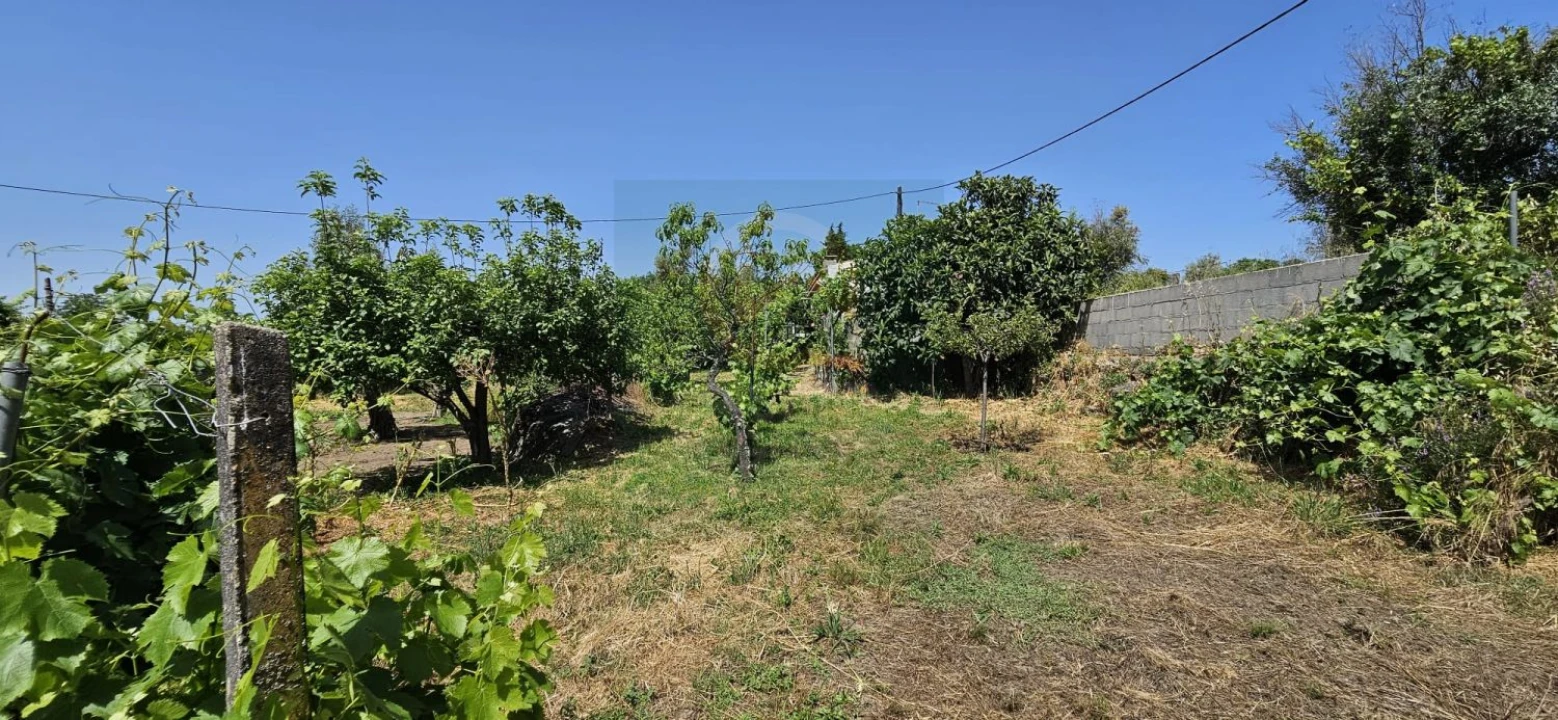 Terreno para Venda em Escalos de Baixo e Mata Foto 31