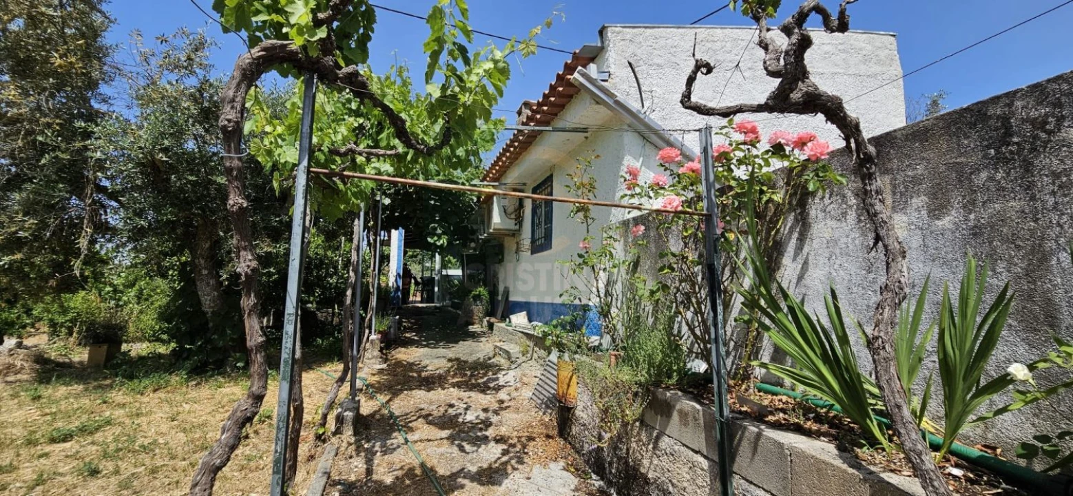 Terreno para Venda em Escalos de Baixo e Mata Foto 27