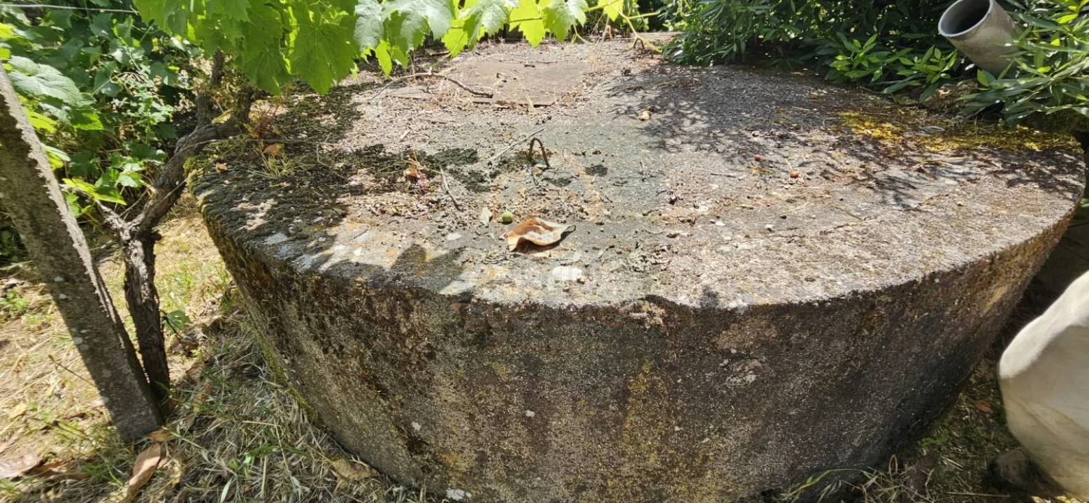 Terreno para Venda em Escalos de Baixo e Mata Foto 49