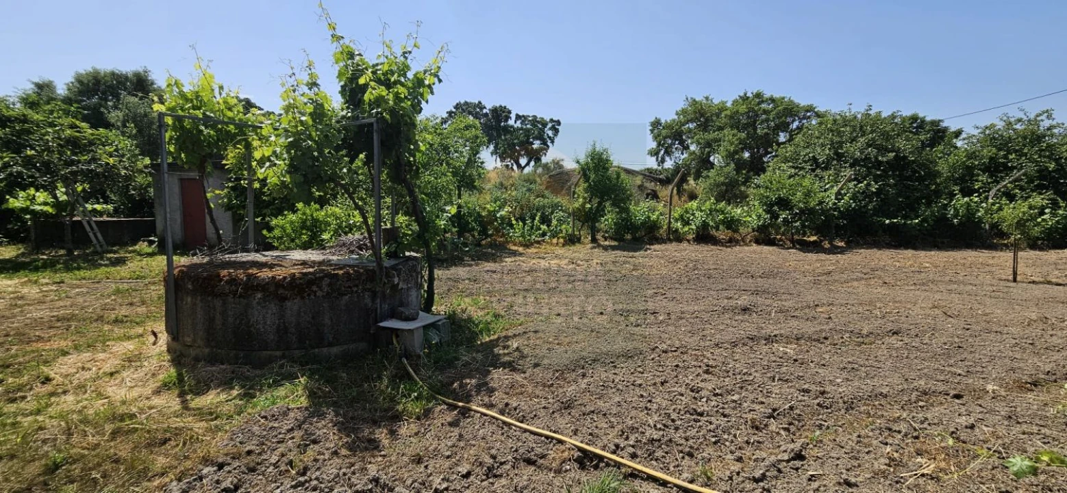 Terreno para Venda em Escalos de Baixo e Mata Foto 43