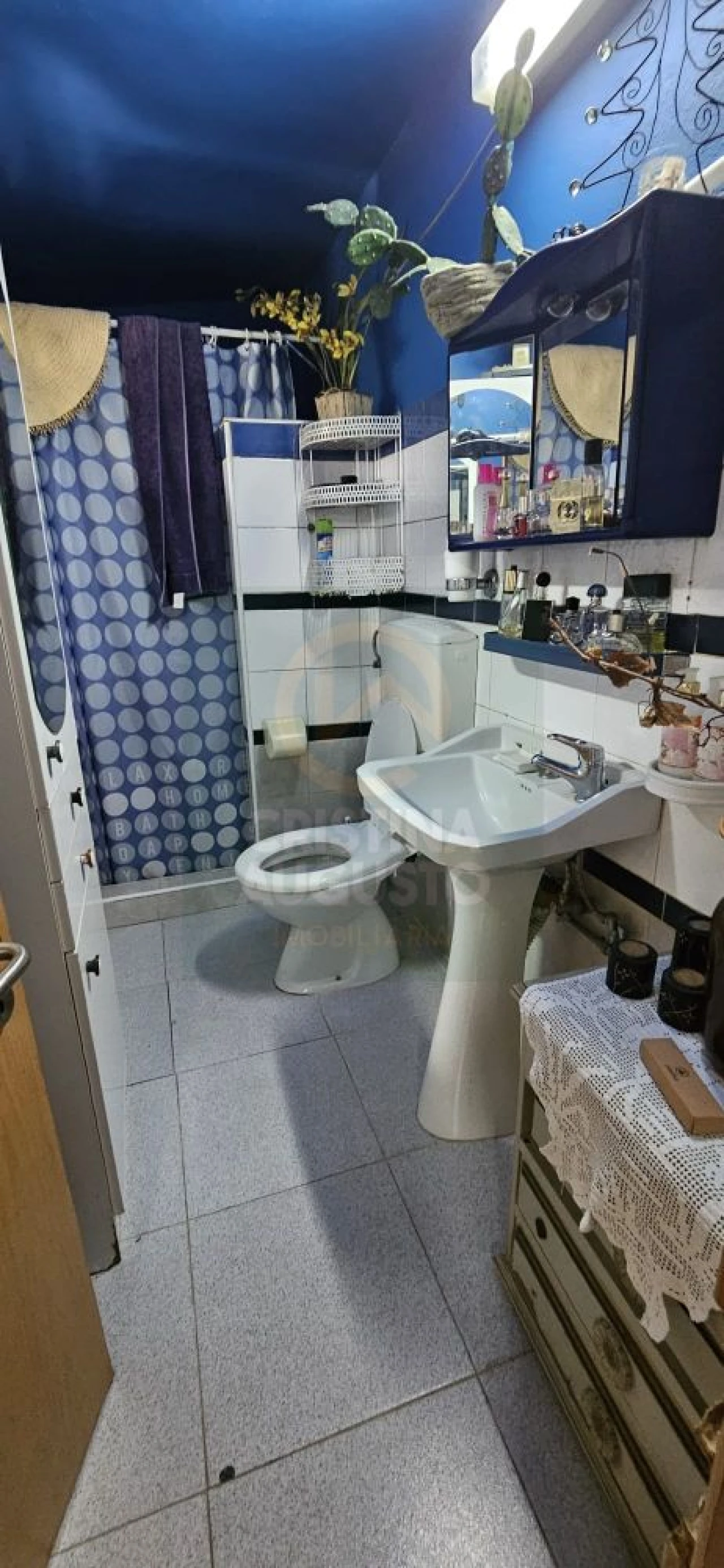 Terreno para Venda em Escalos de Baixo e Mata Foto 25