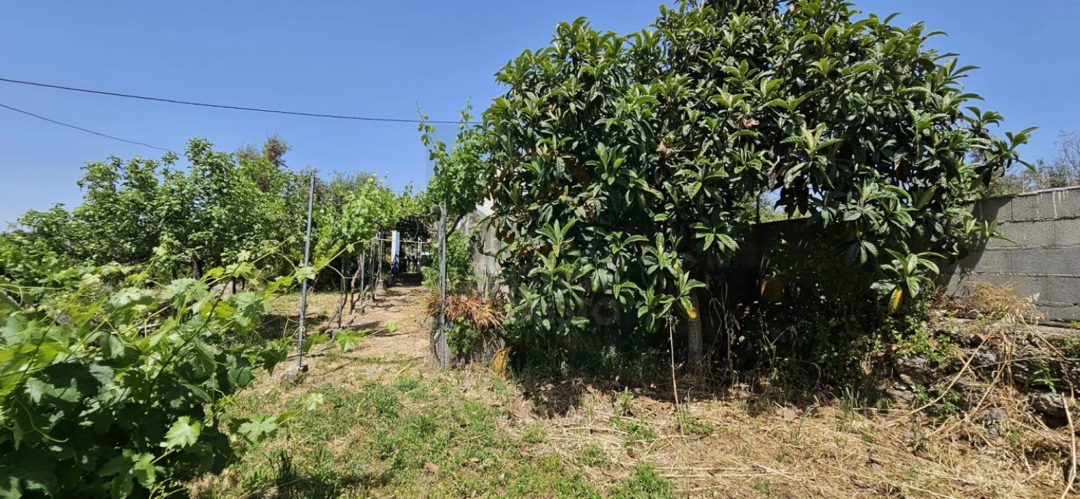 Terreno para Venda em Escalos de Baixo e Mata Foto 23
