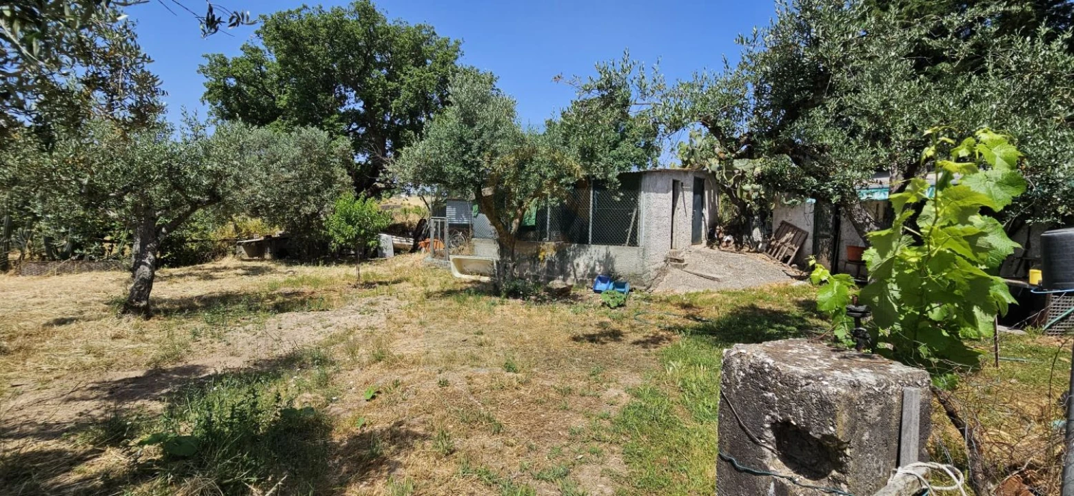 Terreno para Venda em Escalos de Baixo e Mata Foto 3