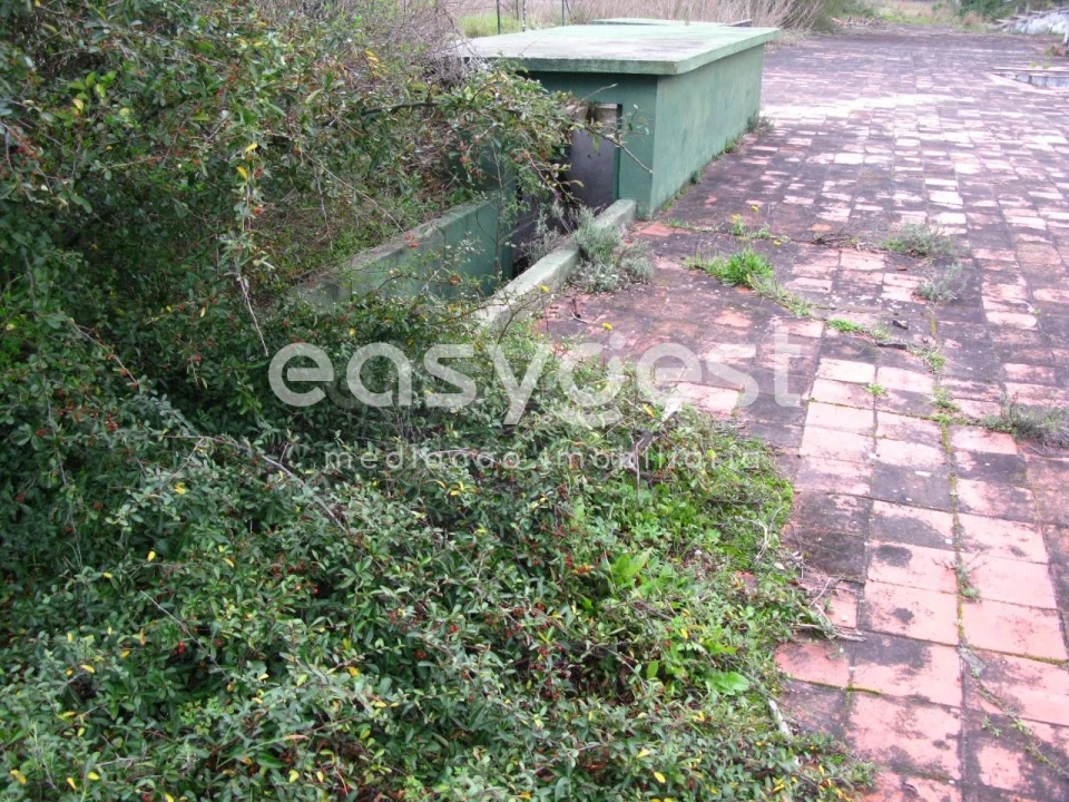 Quinta T12 para Venda em São Miguel do Rio Torto e Rossio Ao Sul do Tejo Foto 28