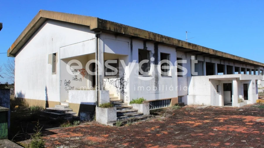 Quinta T12 para Venda em São Miguel do Rio Torto e Rossio Ao Sul do Tejo