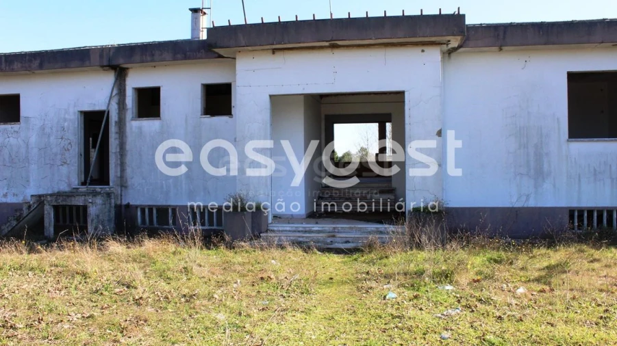 Quinta T12 para Venda em São Miguel do Rio Torto e Rossio Ao Sul do Tejo Foto 5