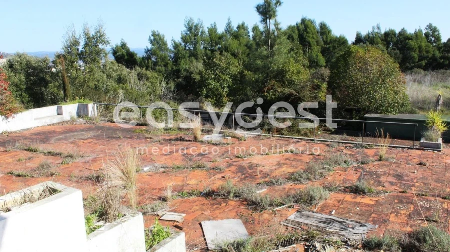 Quinta T12 para Venda em São Miguel do Rio Torto e Rossio Ao Sul do Tejo Foto 8