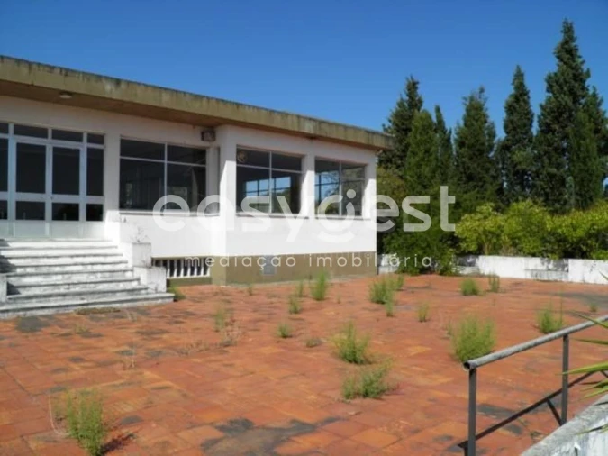 Quinta T12 para Venda em São Miguel do Rio Torto e Rossio Ao Sul do Tejo Foto 29