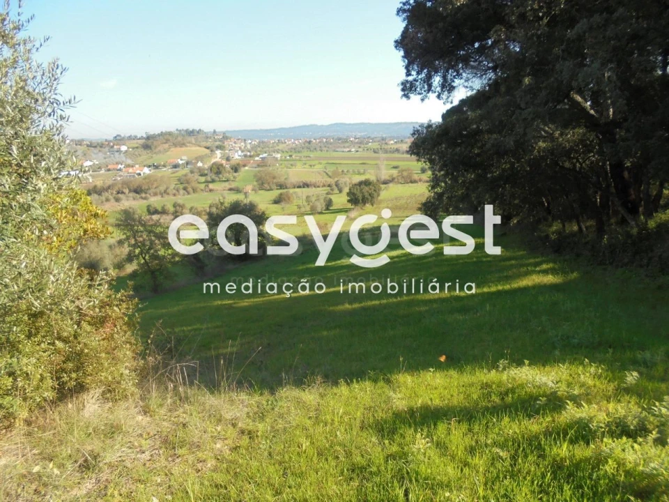 Terreno para Venda em Madalena e Beselga Foto 1