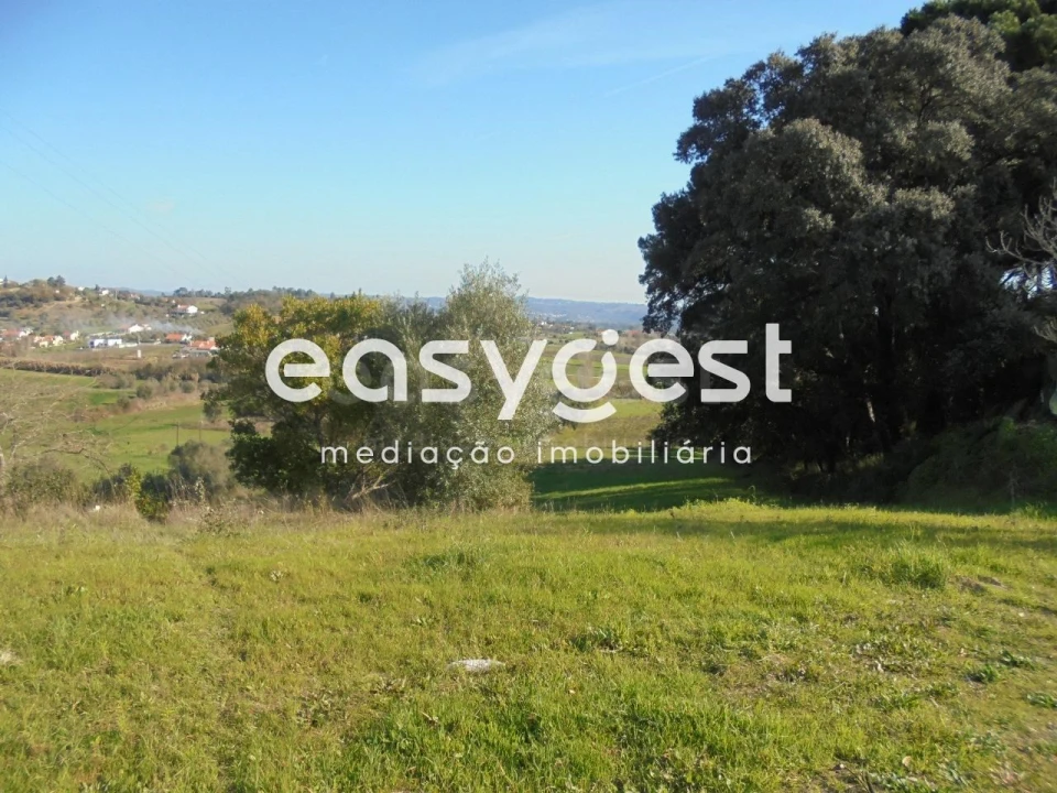 Terreno para Venda em Madalena e Beselga Foto 2