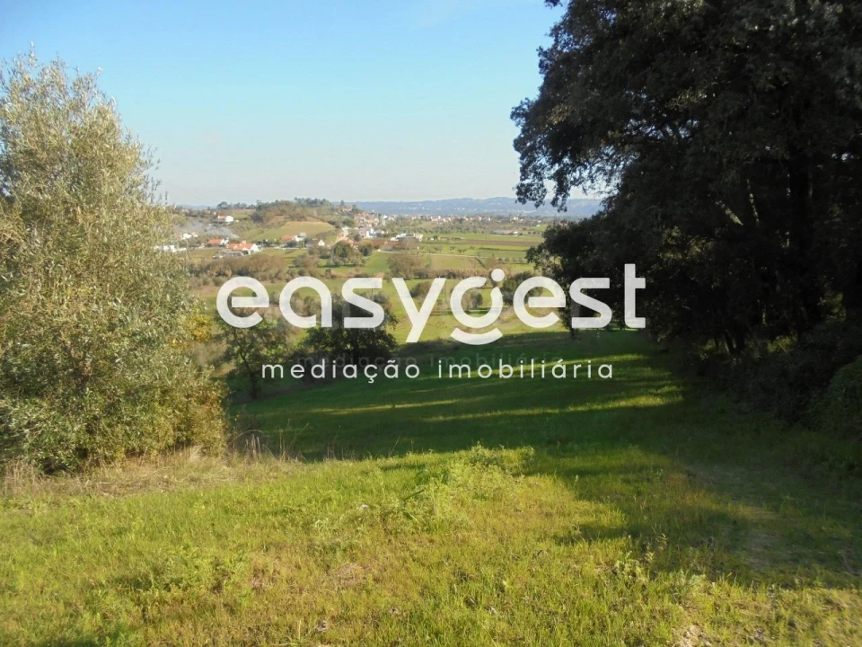 Terreno para Venda em Madalena e Beselga Foto 4