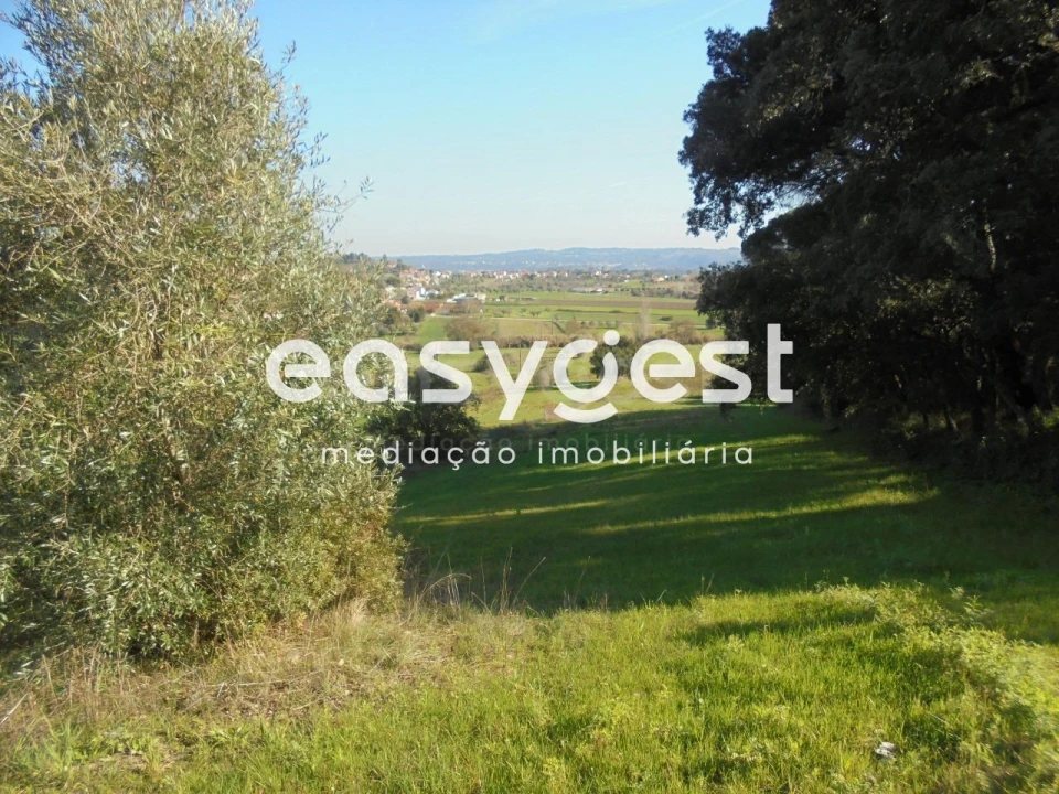 Terreno para Venda em Madalena e Beselga Foto 5