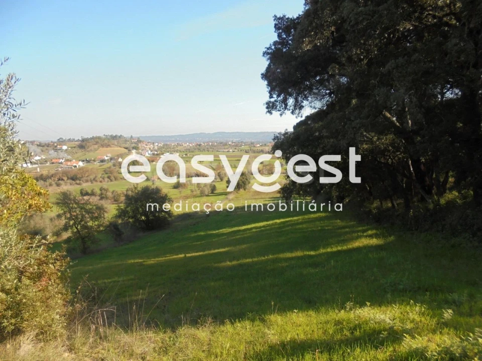 Terreno para Venda em Madalena e Beselga Foto 11