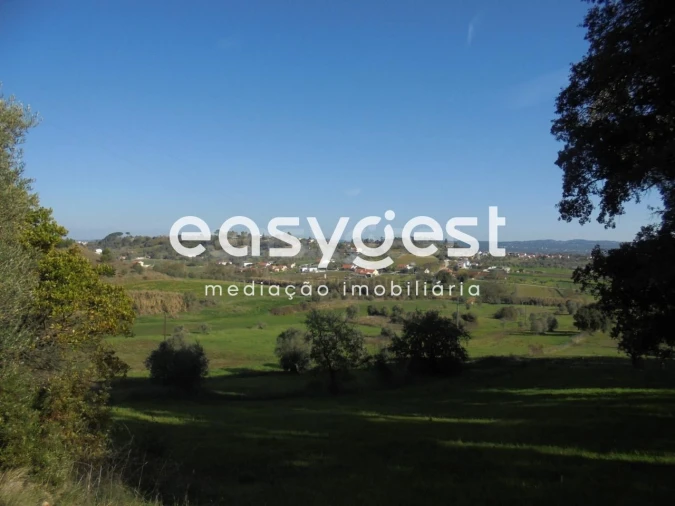 Terreno para Venda em Madalena e Beselga Foto 9