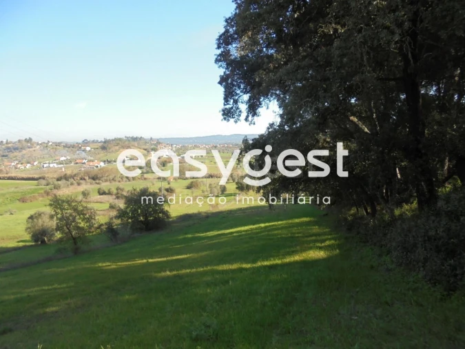 Terreno para Venda em Madalena e Beselga Foto 10