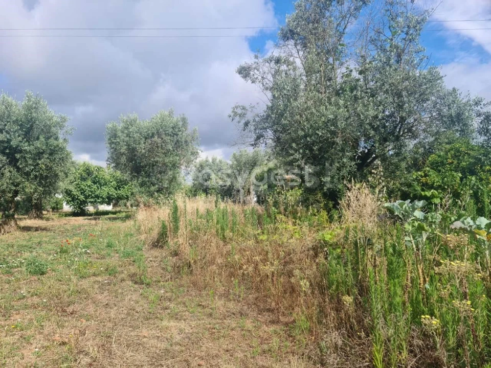 Moradia T3 para Venda em Asseiceira Foto 24