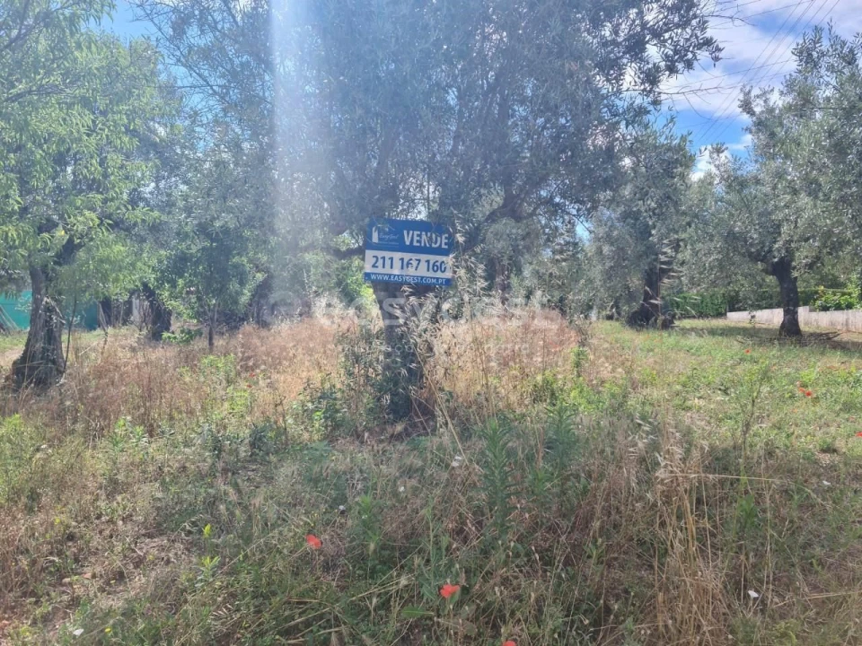 Moradia T3 para Venda em Asseiceira Foto 25