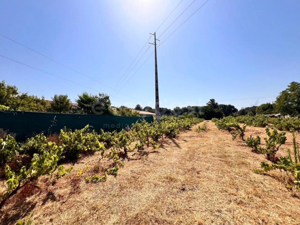 Terreno para Venda em Pego Foto 1