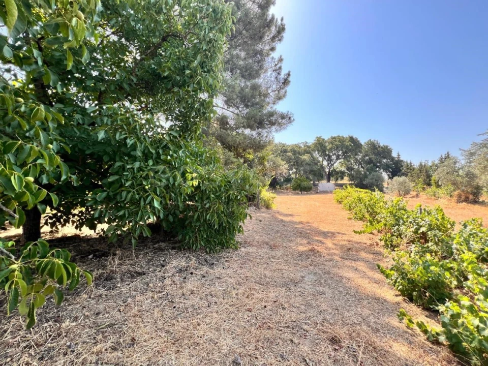 Terreno para Venda em Pego Foto 4