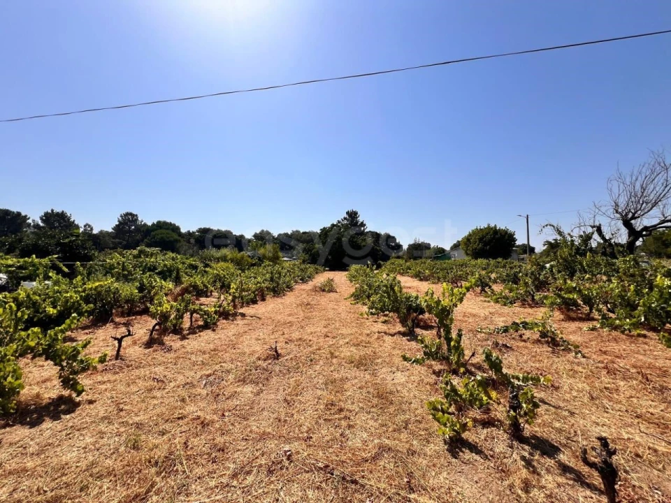 Terreno para Venda em Pego Foto 8