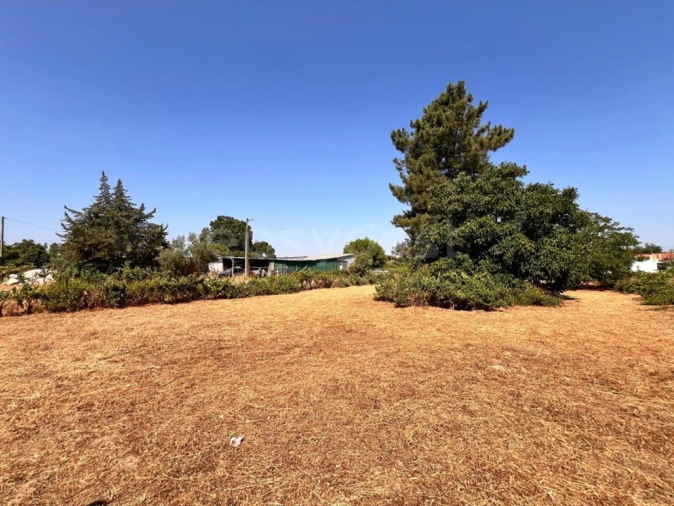 Terreno para Venda em Pego Foto 13