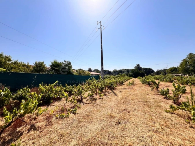 Terreno para Venda em Pego Foto 1