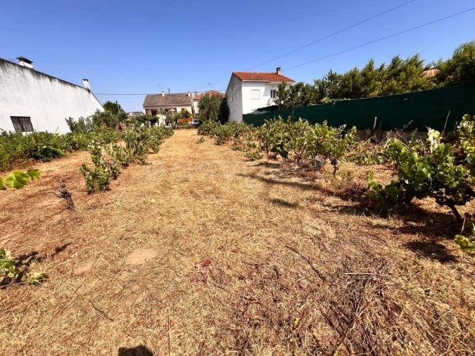 Terreno para Venda em Pego Foto 7