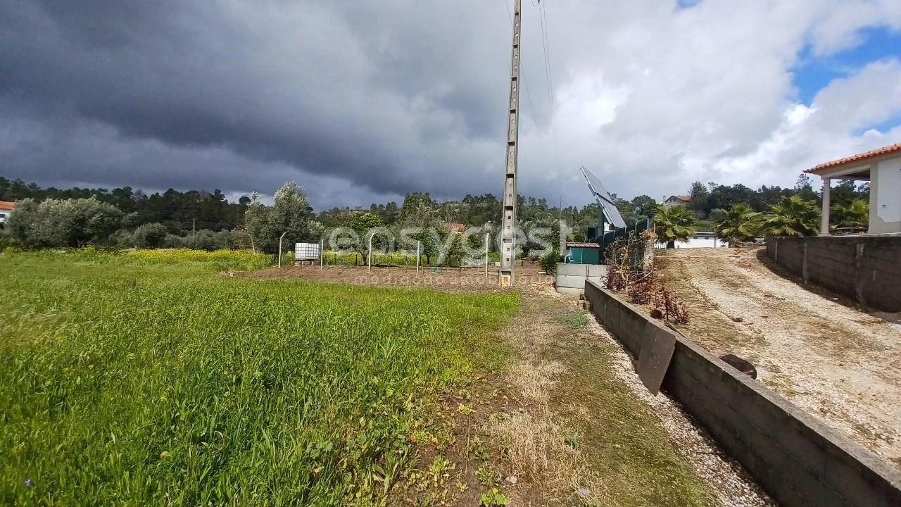 Terreno para Venda em Assentiz Foto 8