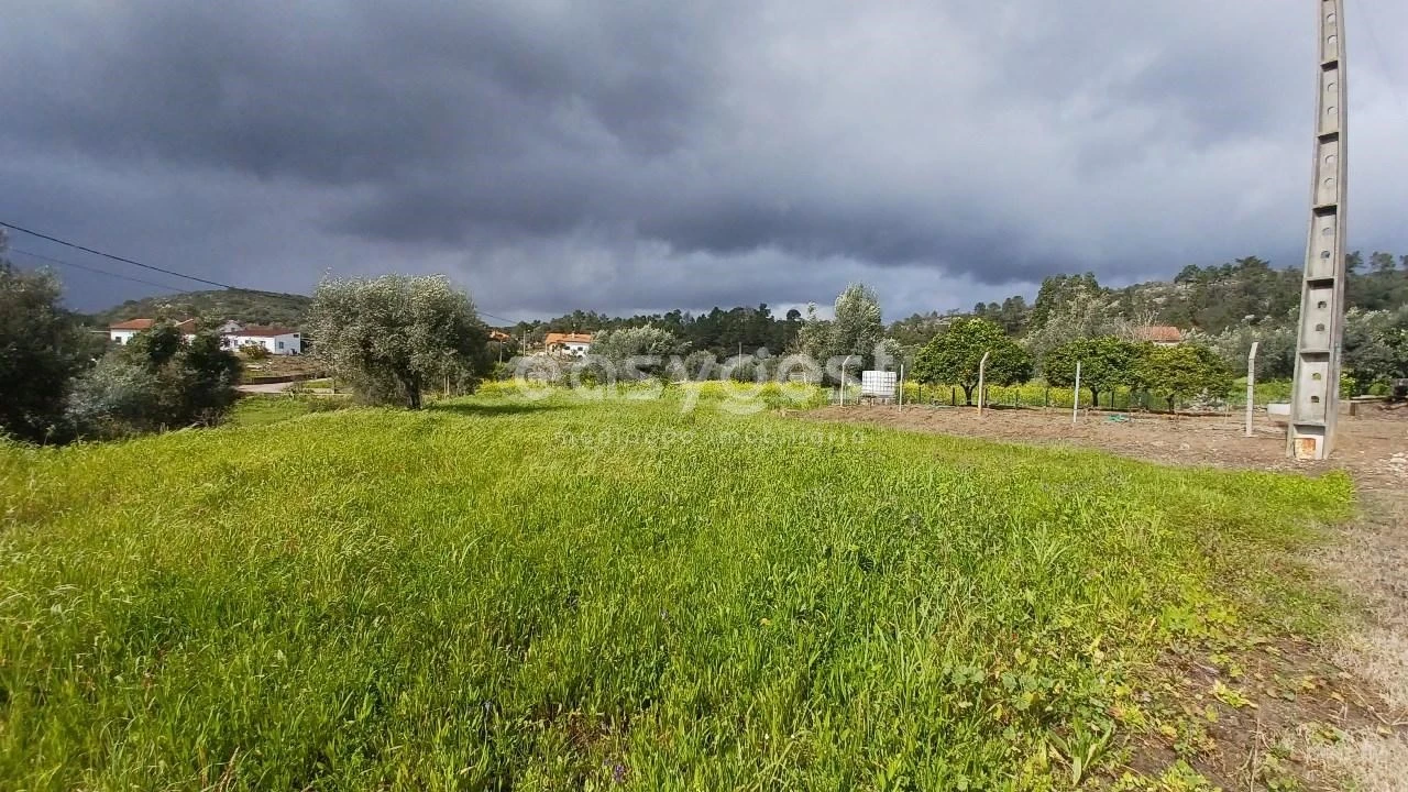 Terreno para Venda em Assentiz Foto 9