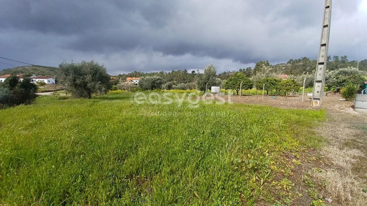 Terreno para Venda em Assentiz Foto 13