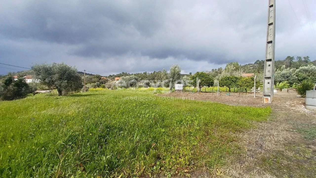 Terreno para Venda em Assentiz Foto 14