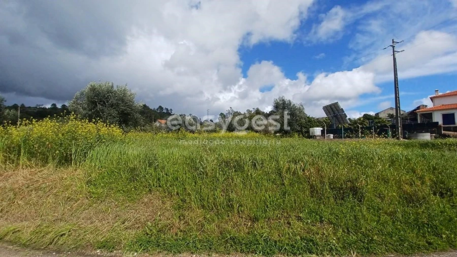 Terreno para Venda em Assentiz Foto 3