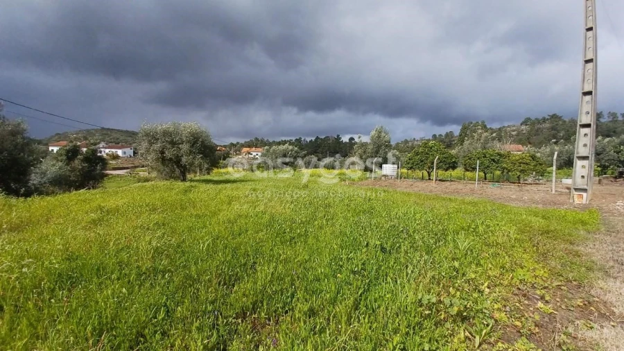 Terreno para Venda em Assentiz Foto 9