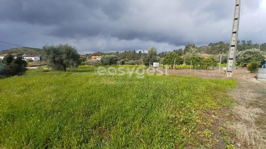 Terreno para Venda em Assentiz Foto 13
