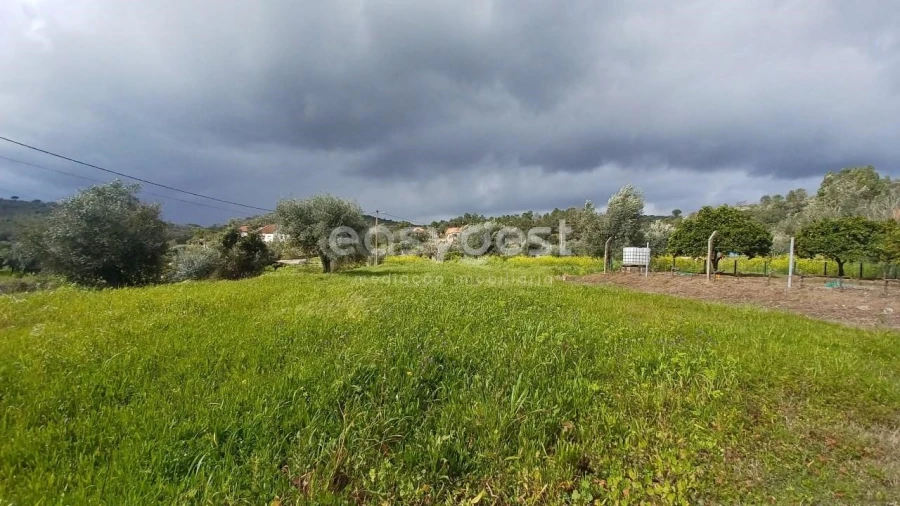 Terreno para Venda em Assentiz Foto 16