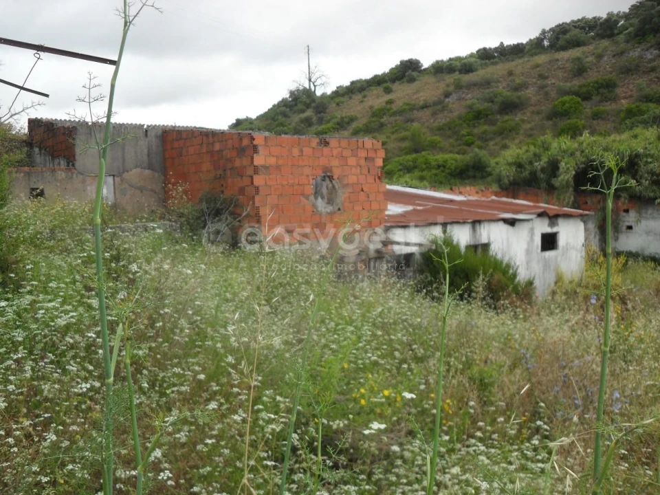 Moradia T3 para Venda em Alcanena e Vila Moreira Foto 6