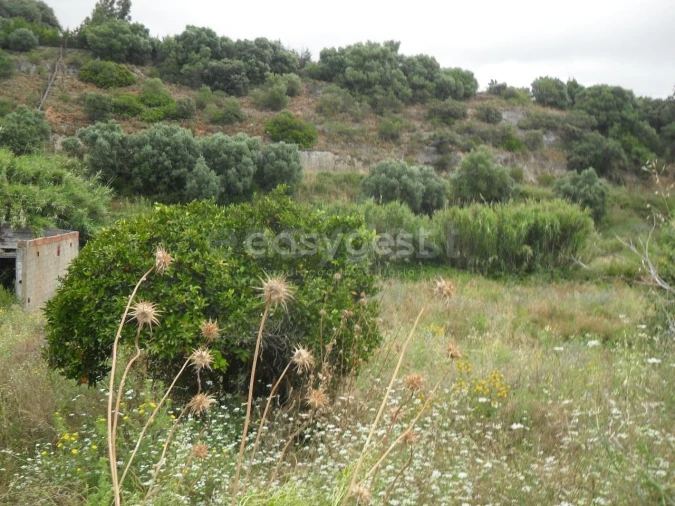 Moradia T3 para Venda em Alcanena e Vila Moreira Foto 7