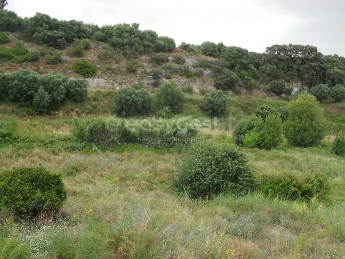 Moradia T3 para Venda em Alcanena e Vila Moreira Foto 22