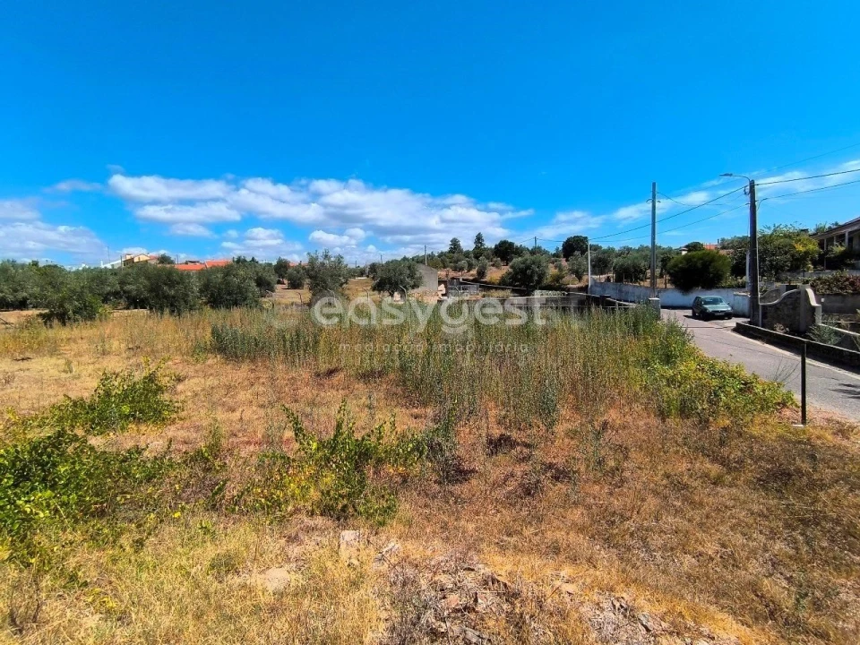 Moradia T3 para Venda em Mouriscas Foto 9