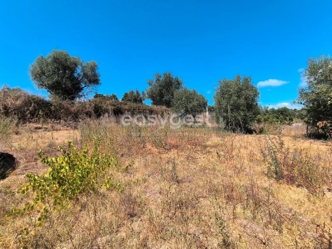 Moradia T3 para Venda em Mouriscas Foto 8