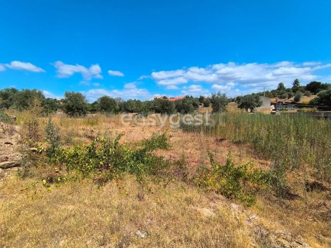 Moradia T3 para Venda em Mouriscas Foto 10