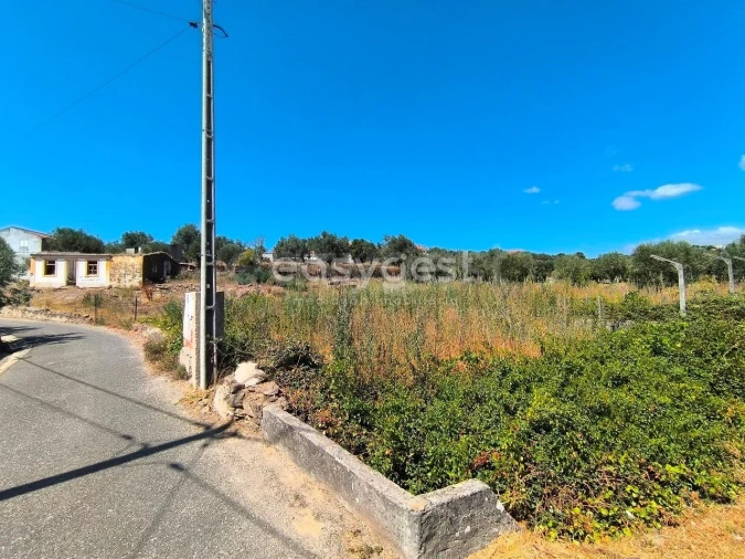 Moradia T3 para Venda em Mouriscas Foto 15