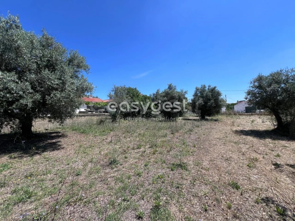 Terreno para Venda em São João Baptista e Santa Maria dos Olivais Foto 5