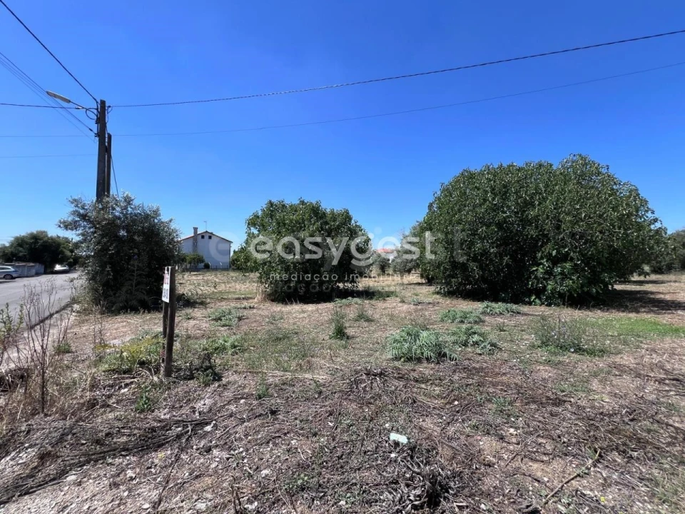 Terreno para Venda em São João Baptista e Santa Maria dos Olivais Foto 12