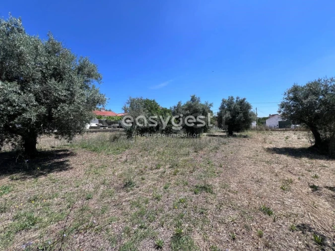 Terreno para Venda em São João Baptista e Santa Maria dos Olivais Foto 5