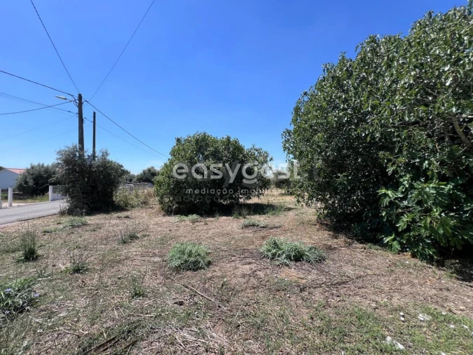 Terreno para Venda em São João Baptista e Santa Maria dos Olivais Foto 10