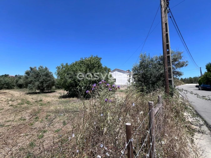 Terreno para Venda em São João Baptista e Santa Maria dos Olivais Foto 15