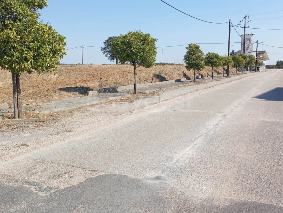 Terreno para Venda em São João Baptista e Santa Maria dos Olivais Foto 6