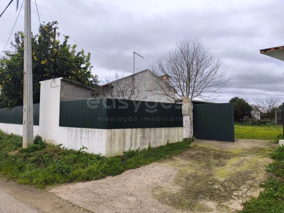 Quinta T2 para Venda em Golegã Foto 5