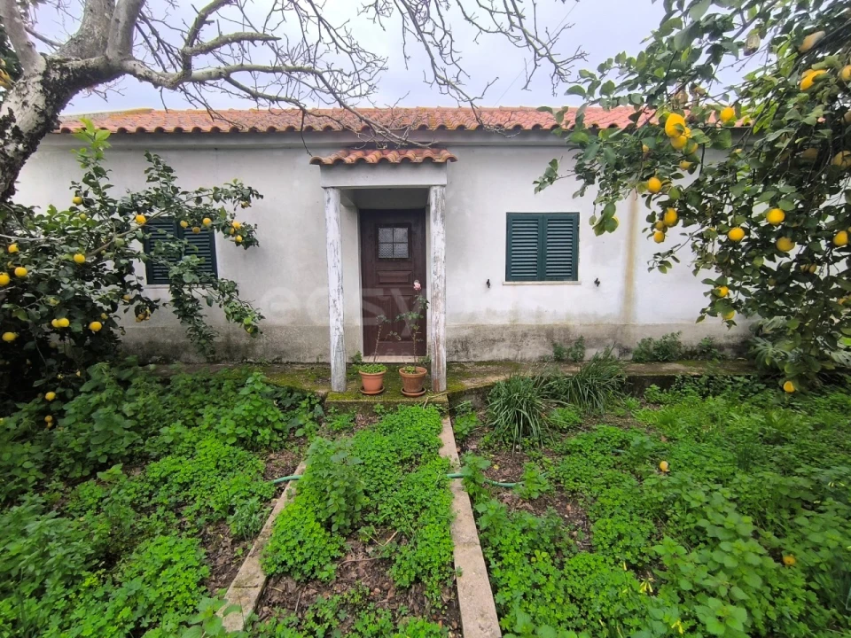 Quinta T2 para Venda em Golegã Foto 1